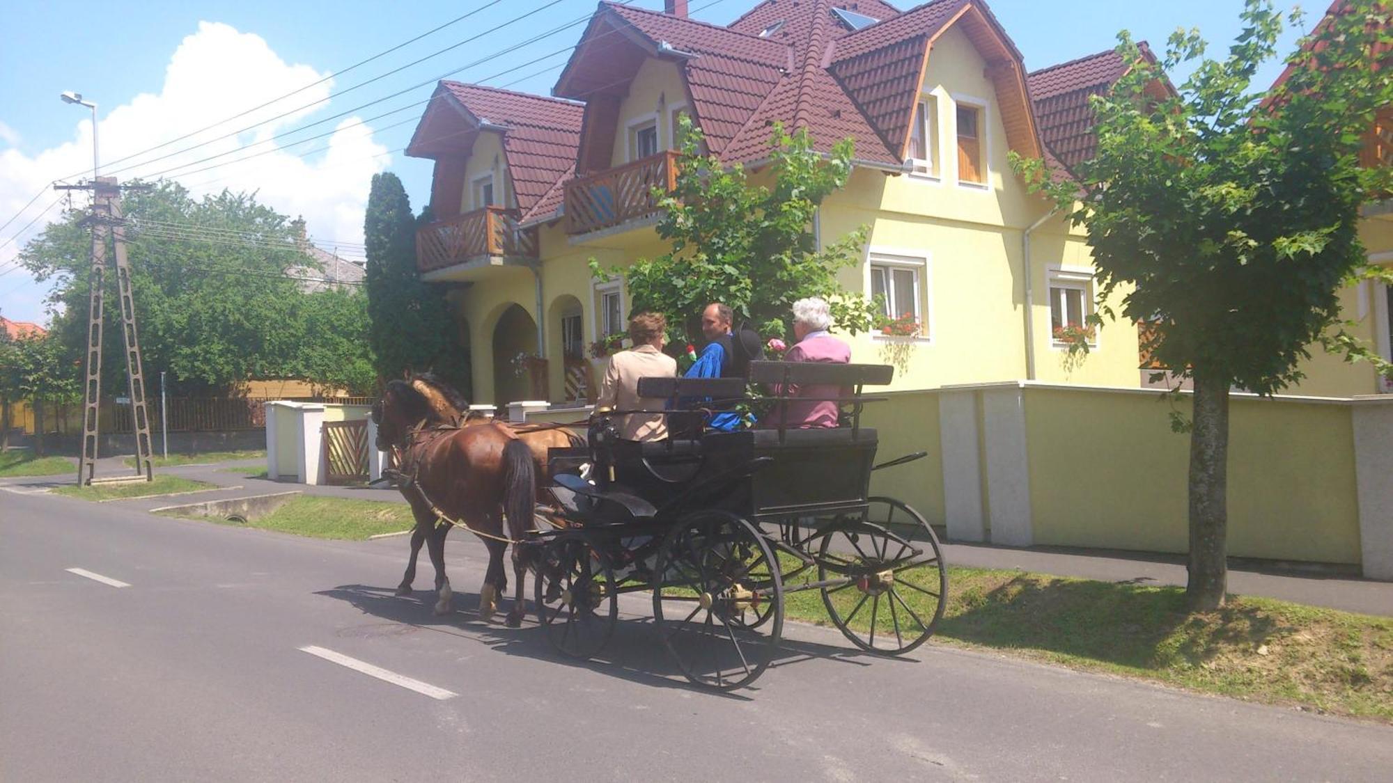 凯斯特海伊埃里卡膳食旅馆住宿加早餐旅馆 外观 照片